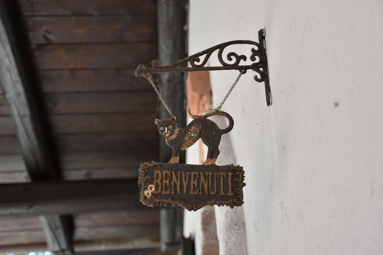 B&B La Dolce Vita Priocca Buitenkant foto